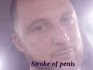 Stroke_of_penis