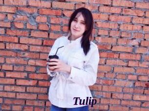 Tulip