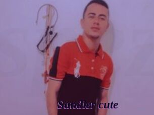 Sandler_cute