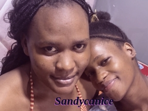 Sandycanice