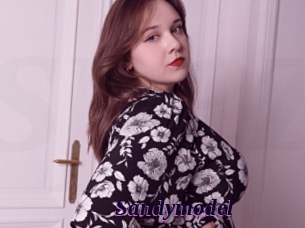 Sandymodel