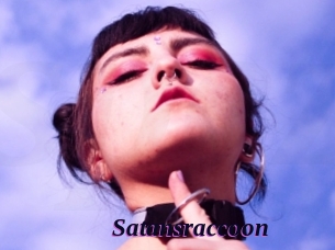Satansraccoon