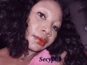 Secypot