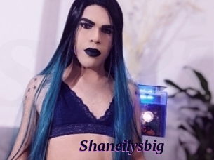 Shaneilysbig