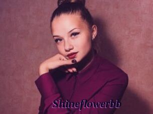 Shineflowerbb