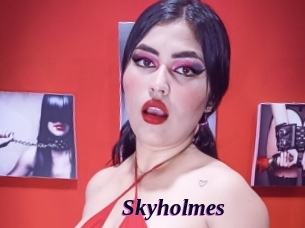 Skyholmes