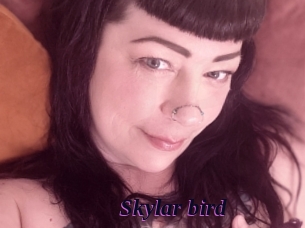 Skylar_bird