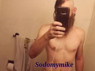 Sodomymike