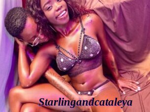 Starlingandcataleya