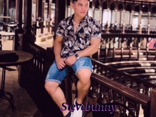 Stevebunny