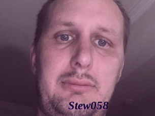 Stew058