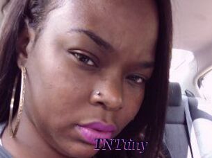 T_N_Ttiny