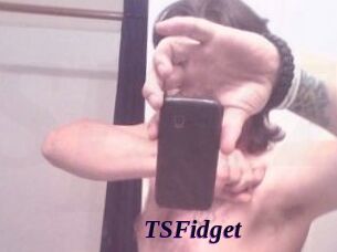 TSFidget