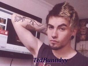 TedBunndyy