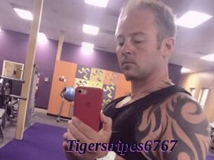 Tigerstripes6767