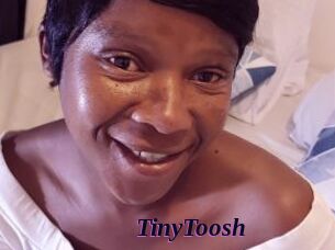 TinyToosh