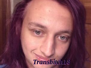 Transbitch18