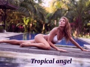 Tropical_angel