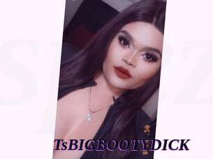 TsBIGBOOTYDICK