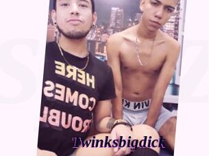 Twinksbigdick