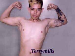 Terrymills