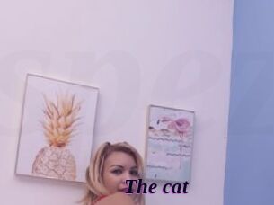 The_cat