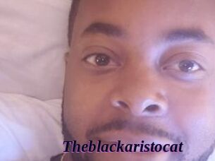 Theblackaristocat