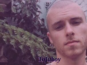 Tofu_boy