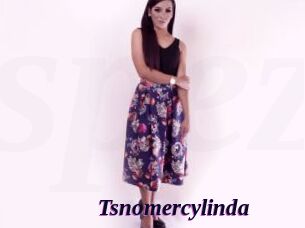 Tsnomercylinda