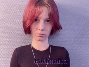 Udelehallett