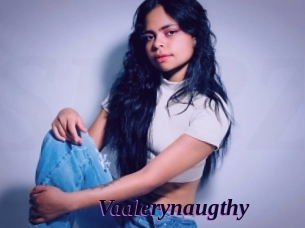 Vaalerynaugthy