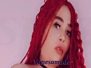 Vanesamude