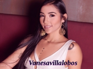 Vanesavillalobos