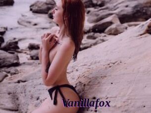 Vanillafox