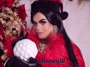 Vannegill