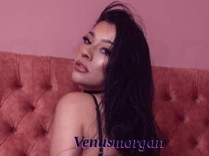 Venusmorgan
