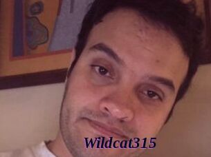 Wildcat315