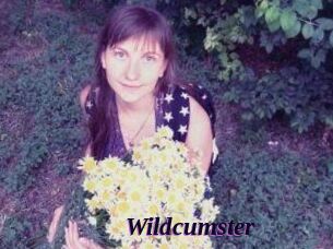 Wildcumster