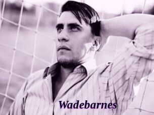 Wadebarnes