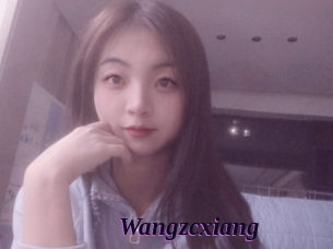 Wangzcxiang