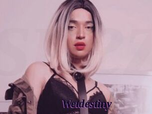 Wetdestiny