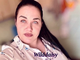 Wilddaisy