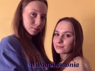 Willaandantonia