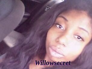 Willow_secret