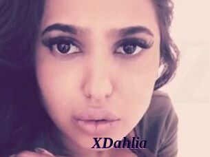 XDahlia