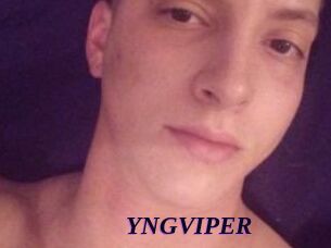 YNGVIPER