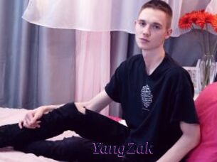 YangZak