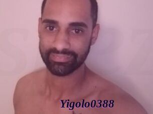 Yigolo0388