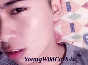 YoungWildCock4u