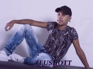 ZEUSHOTT